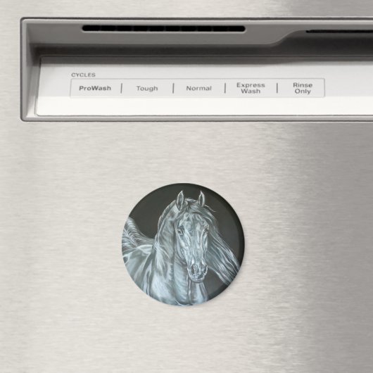 Silber Magnet (In Situ (Geschirrspüler))