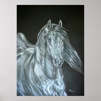 Silber Poster