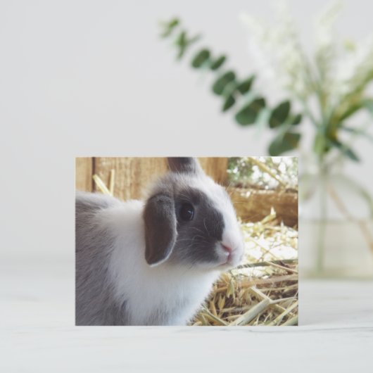 Silber Postkarte (Stehend Vorderseite)