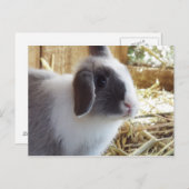 Silber Postkarte (Vorne/Hinten)