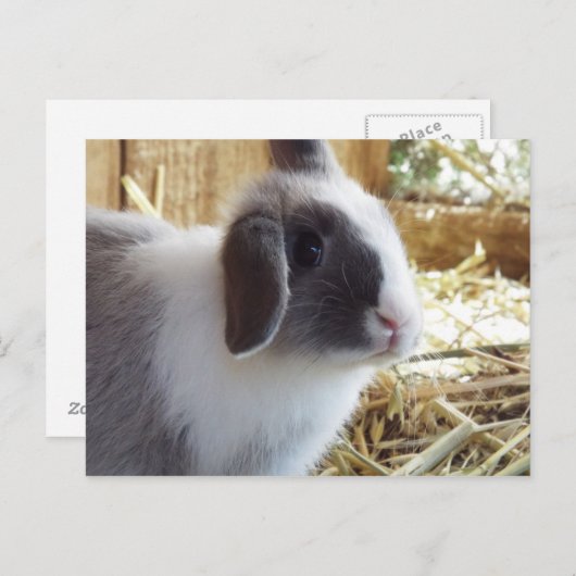 Silber Postkarte (Vorne/Hinten)