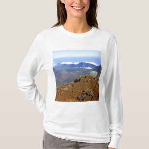 Silber-Schwertlilie am Rand des Haleakala-Kraters T-Shirt