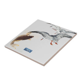 Silber (Sea to Sky) RFO©️ 2024 Fliese