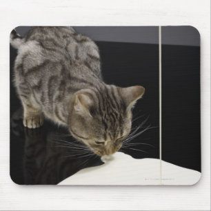 Silber Tabby Katze trinken Creme aus dem Boden Mousepad