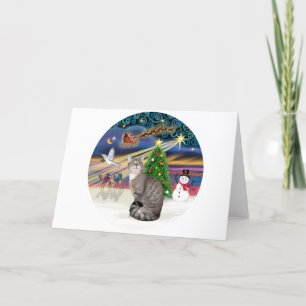 Silber-Tabby - Weihnachtszauber Feiertagskarte