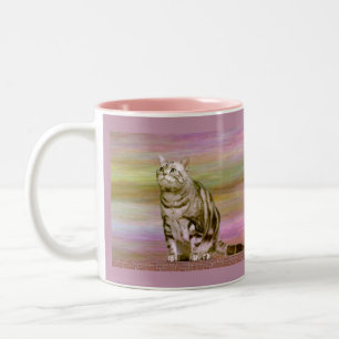 Silber-Tabby Zweifarbige Tasse