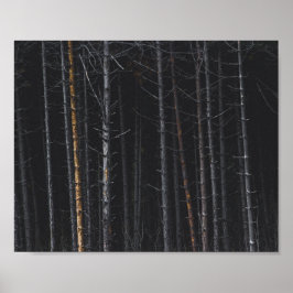 Silber- und Goldbaumstämme Poster