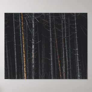 Silber- und Goldbaumstämme Poster