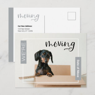 Silber Wir bewegen Dackel Hund in Box Postcard Postkarte