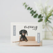 Silber Wir bewegen Dackel Hund in Box Postcard Postkarte (Stehend Vorderseite)