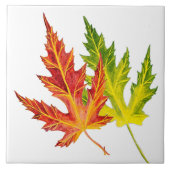 Silberapfel auf einer Keramik Fliese (Vorderseite)