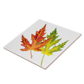 Silberapfel auf einer Keramik Fliese (Seite)