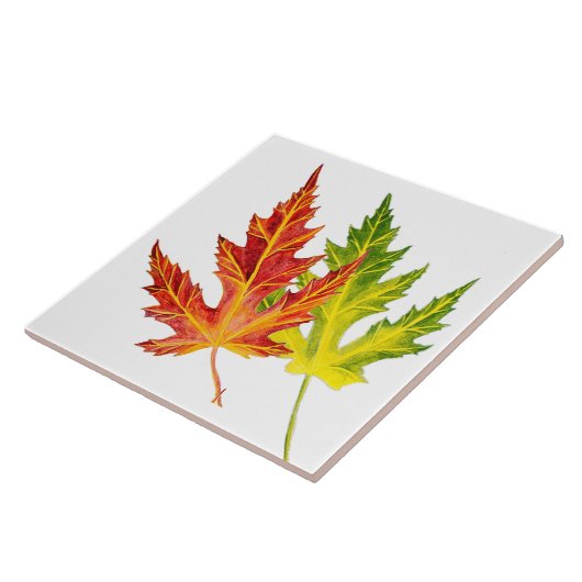 Silberapfel auf einer Keramik Fliese (Seite)