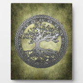 Silberbaum Fotoplatte (Vorderseite)