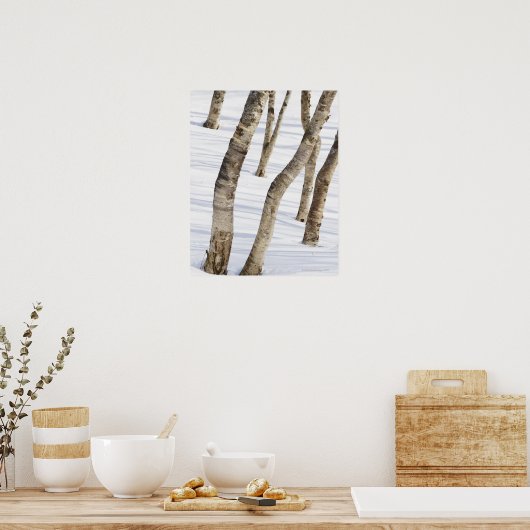 Silberbäume in schneebedeckter Landschaft Poster (Küche)
