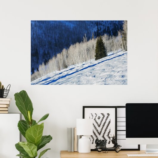 Silberbäume Poster (Heimbüro)