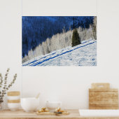 Silberbäume Poster (Küche)