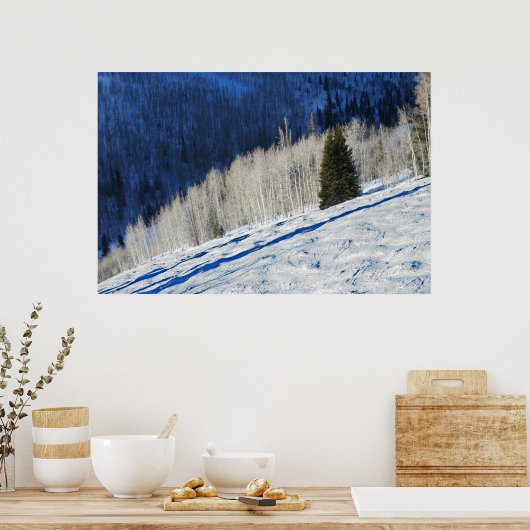 Silberbäume Poster (Küche)