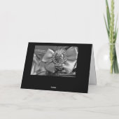 Silberbohrer und Kristalle Karte (Rückseite)