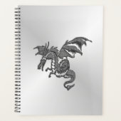 Silberdrache Planer (Vorderseite)