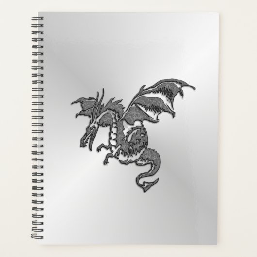 Silberdrache Planer (Vorderseite)