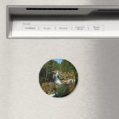 Silberfälle am Monte Rainier Nationalpark Magnet (In Situ (Geschirrspüler))