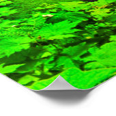 Silberfallen ODER Poster (Ecke)