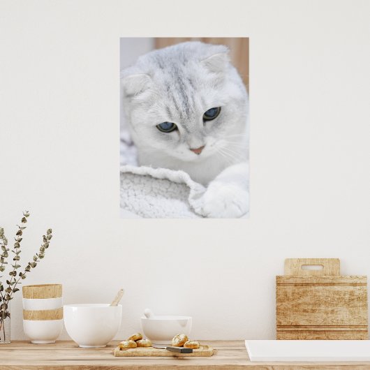 Silberfalte Poster (Küche)