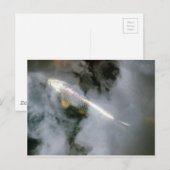 Silberfisch in Wasser und Wolken Postkarte (Vorne/Hinten)