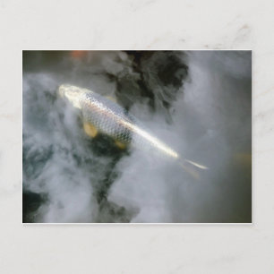 Silberfisch in Wasser und Wolken Postkarte