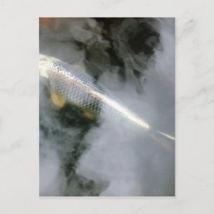 Silberfisch in Wasser und Wolken Postkarte