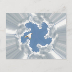 Silberfliegenwolke mit Taube Postkarte