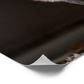 Silberfuchs fesseln poster (Ecke)