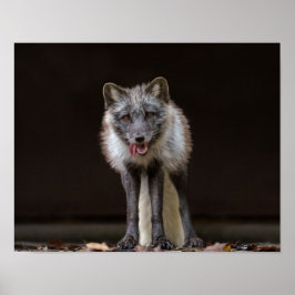 Silberfuchs fesseln poster