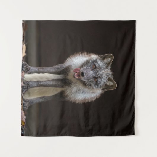 Silberfuchs fesseln wandteppich (Vorderseite (Horizontal))