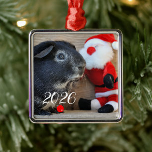 Silberfuchs-Meerschweinchen mit Santa-Spielzeug Ornament Aus Metall