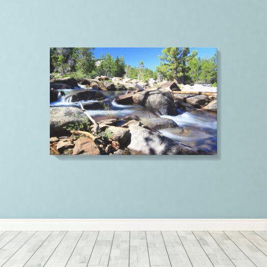 Silbergabel des American River, Leinwand (Insitu (Holzboden))