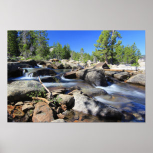 Silbergabel des amerikanischen Flusses Poster