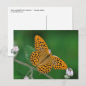 Silbergewaschene Postkarte (Vorne/Hinten)