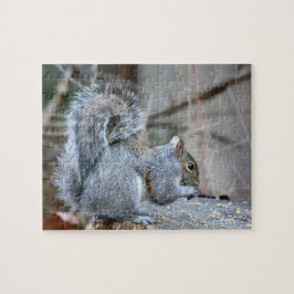 Silberhörnchen Puzzle