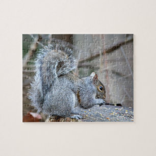 Silberhörnchen Puzzle