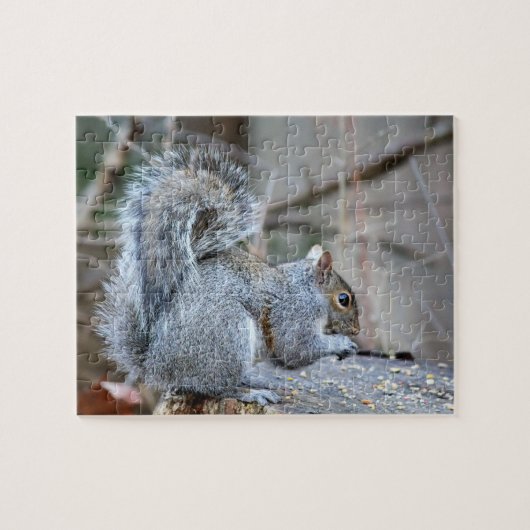 Silberhörnchen Puzzle (Horizontal)