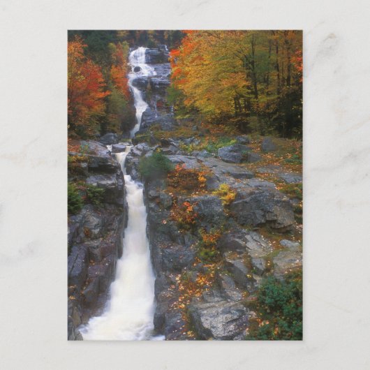 Silberkaskade Herbst Postkarte (Vorderseite)