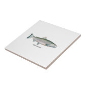 Silberlachs (Meeresphase) Fliese (Seite)