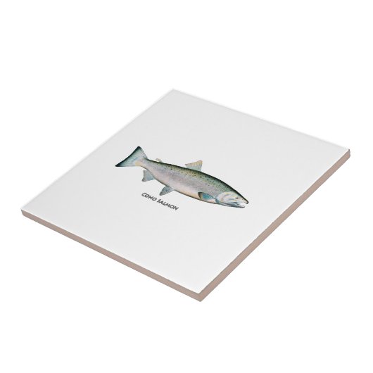 Silberlachs (Meeresphase) Fliese (Seite)