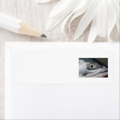 Silberlachsgesicht (Insitu)