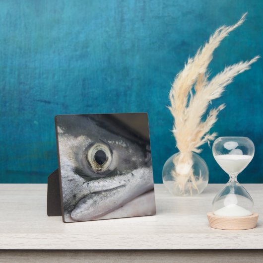 Silberlachsgesicht Fotoplatte (InSitu)