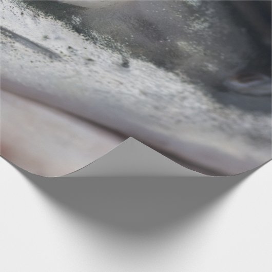 Silberlachsgesicht Geschenkpapier (Ecke)