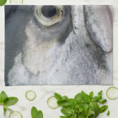 Silberlachsgesicht Handtuch (Gefaltet)