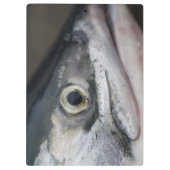 Silberlachsgesicht Klemmbrett (Rückseite)